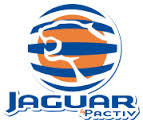 Vaso Jaguar